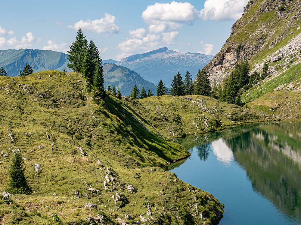 Frau Bergschön Oberallgäu Seealpsee