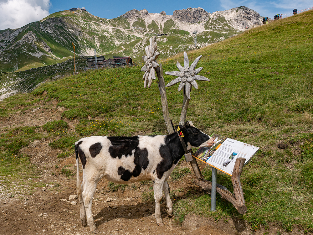 Frau Bergschön Gerstruben Andechser Natur