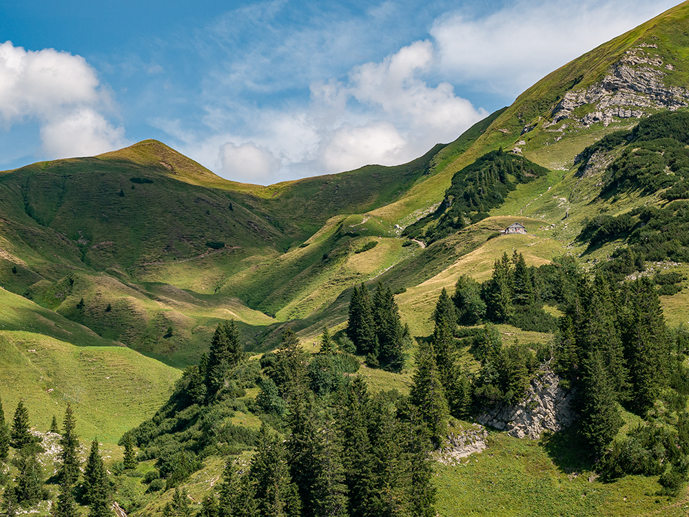 Frau Bergschön Gerstruben Andechser Natur