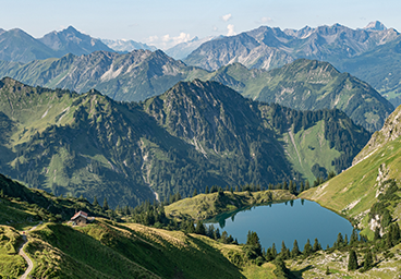 Frau Bergschön hintere Seealpe