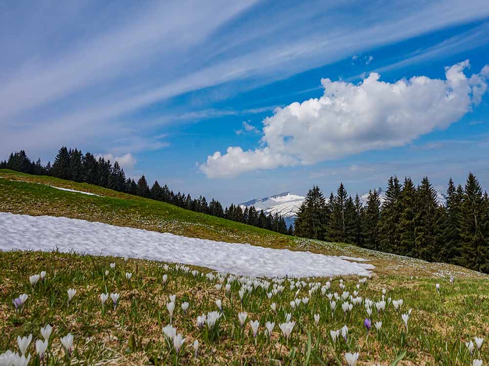 Frau Bergschön Söllereck Bergbahnen Oberstdorf