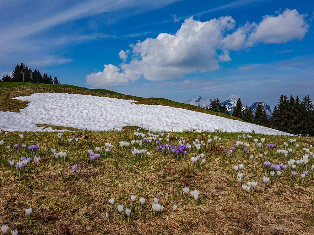 Frau Bergschön Söllereck Bergbahnen Oberstdorf