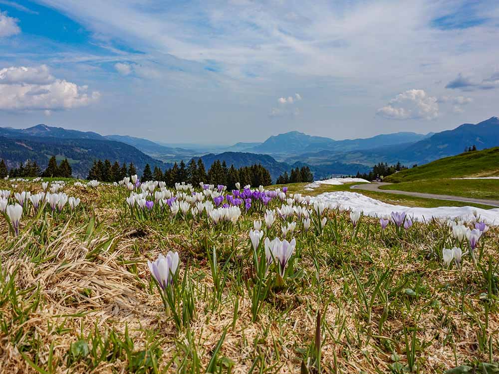 Frau Bergschön Söllereck Bergbahnen Oberstdorf