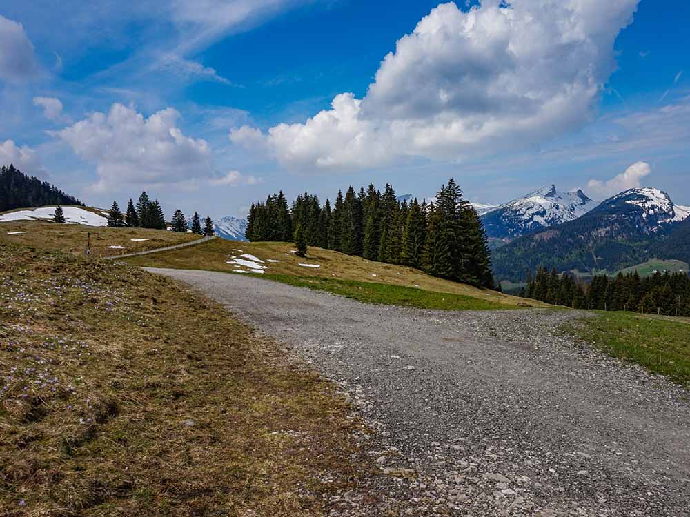 Frau Bergschön Söllereck Bergbahnen Oberstdorf