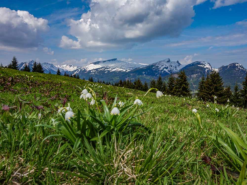 Frau Bergschön Söllereck Bergbahnen Oberstdorf