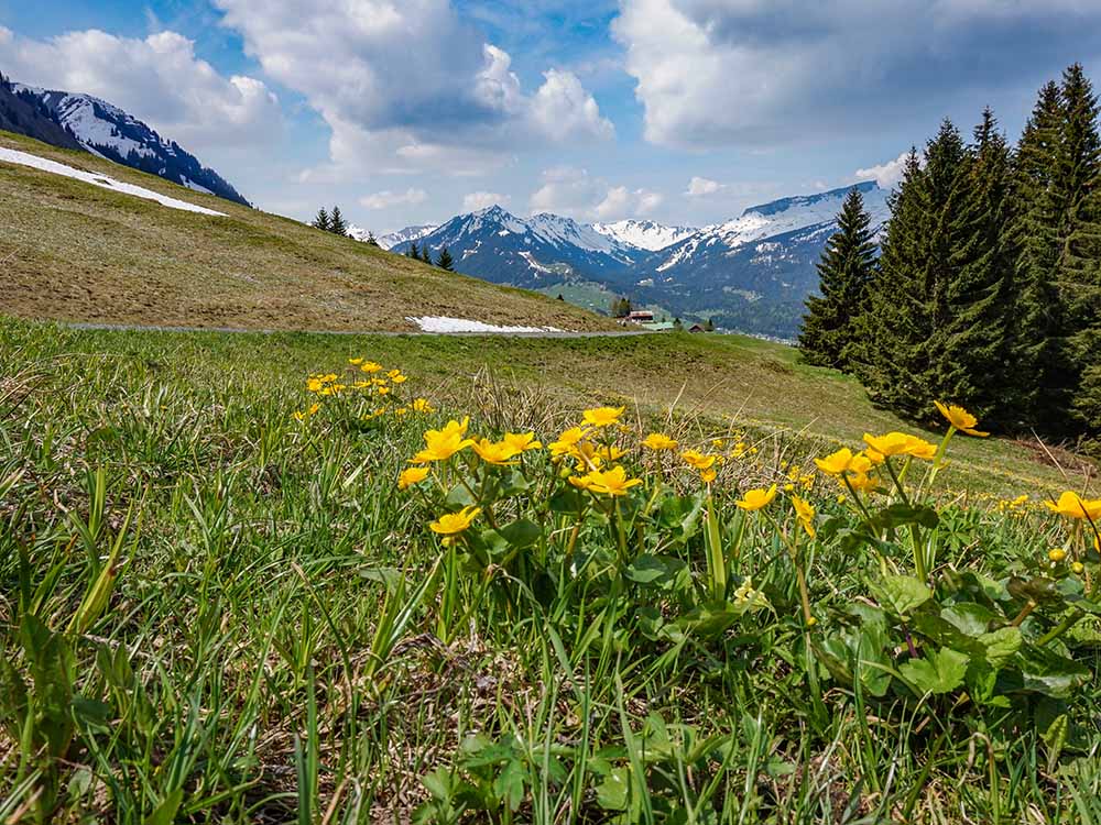 Frau Bergschön Söllereck Bergbahnen Oberstdorf