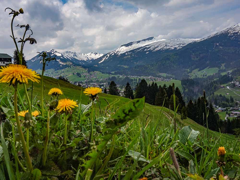 Frau Bergschön Söllereck Bergbahnen Oberstdorf