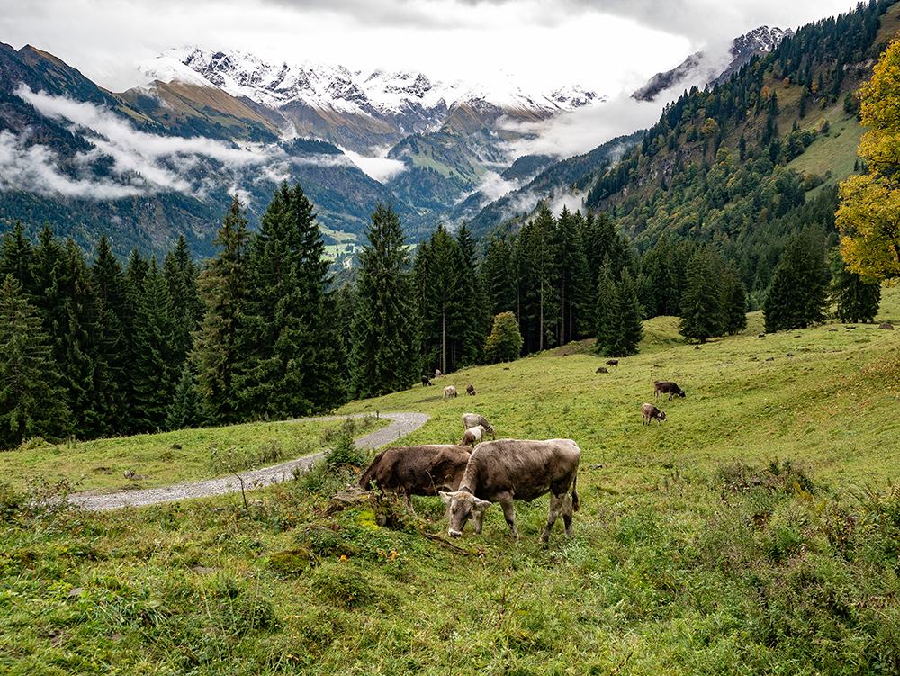 Frau Bergschön Gerstruben Andechser Natur