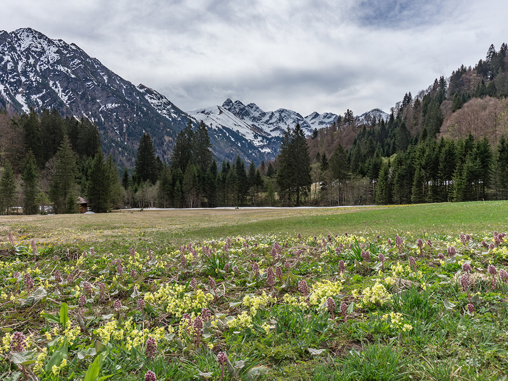 Frau Bergschön Freibergsee ins Stillachtal