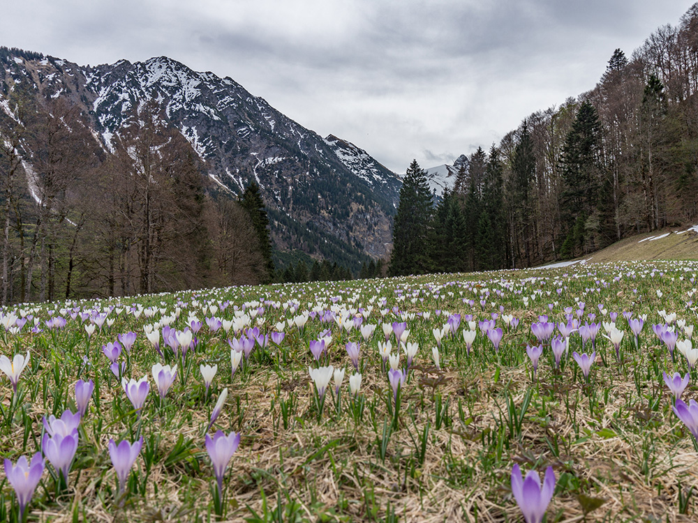 Frau Bergschön Freibergsee ins Stillachtal