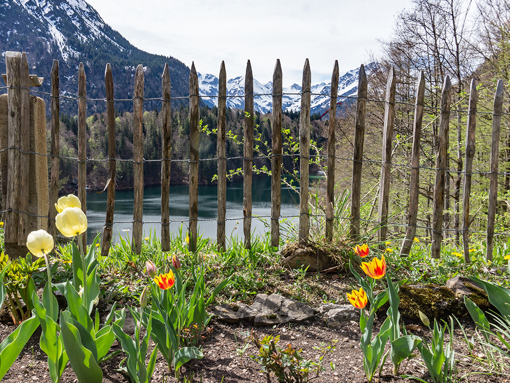 Frau Bergschön Freibergsee ins Stillachtal