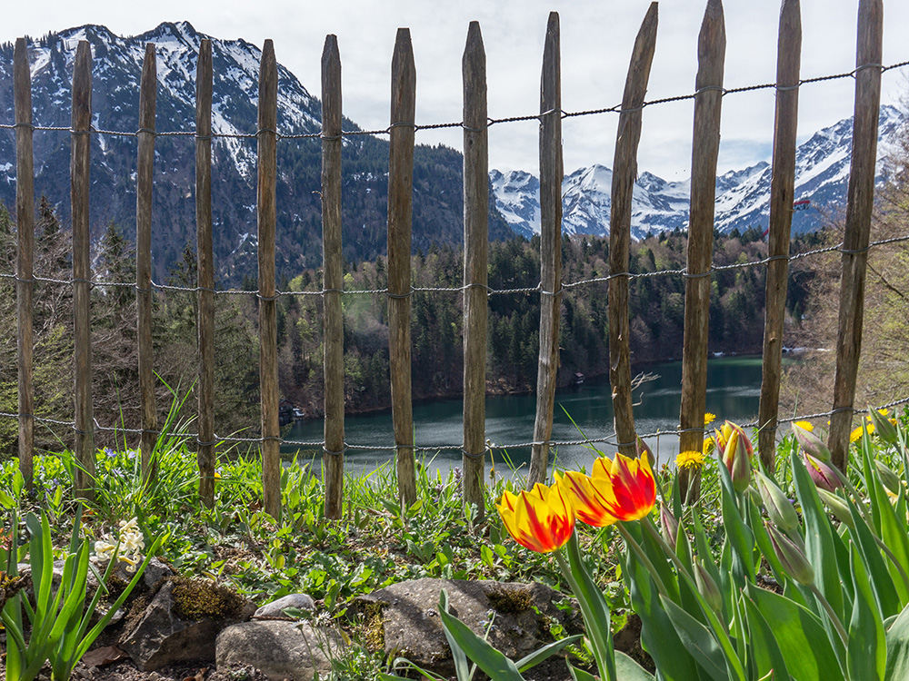 Frau Bergschön Freibergsee ins Stillachtal