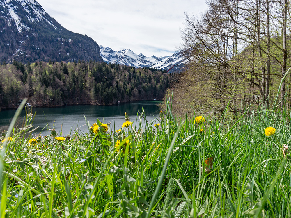 Frau Bergschön Freibergsee ins Stillachtal