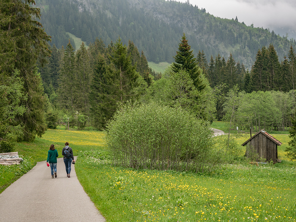 Frau Bergschön Oberallgäu Strausbergalpe