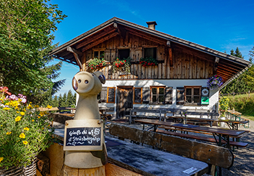 Frau Bergschön Strausbergalpe Alpgenuss