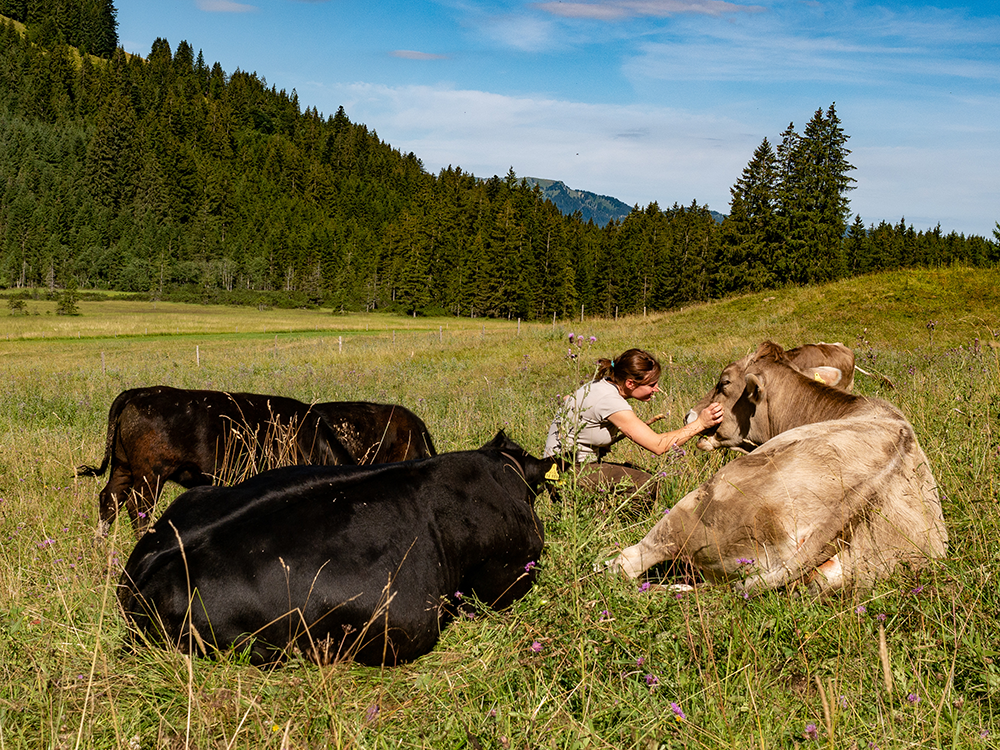 Frau Bergschön Strausbergalpe Alpgenuss