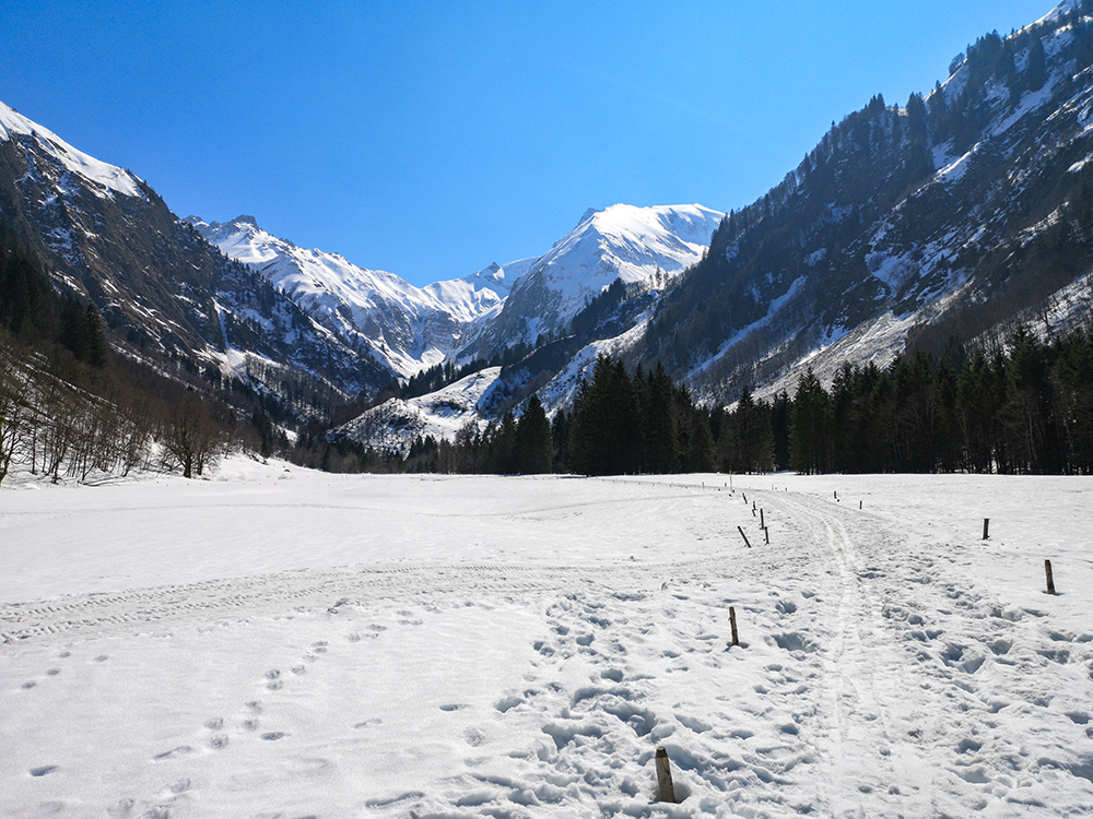 Frau Bergschön Trettachtal Oberstdorf