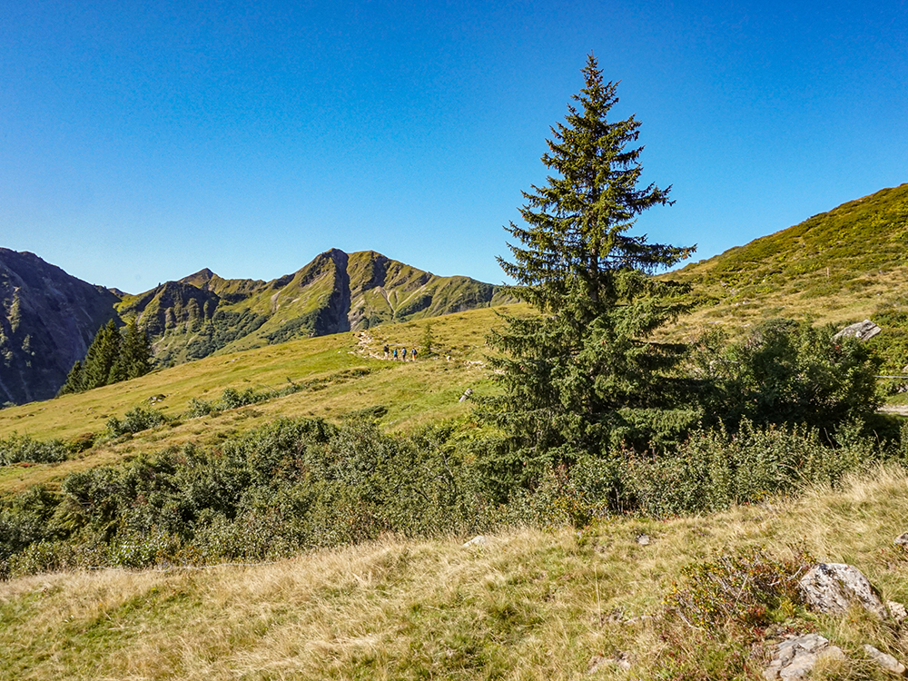 Frau Bergschön Engeratgundsee