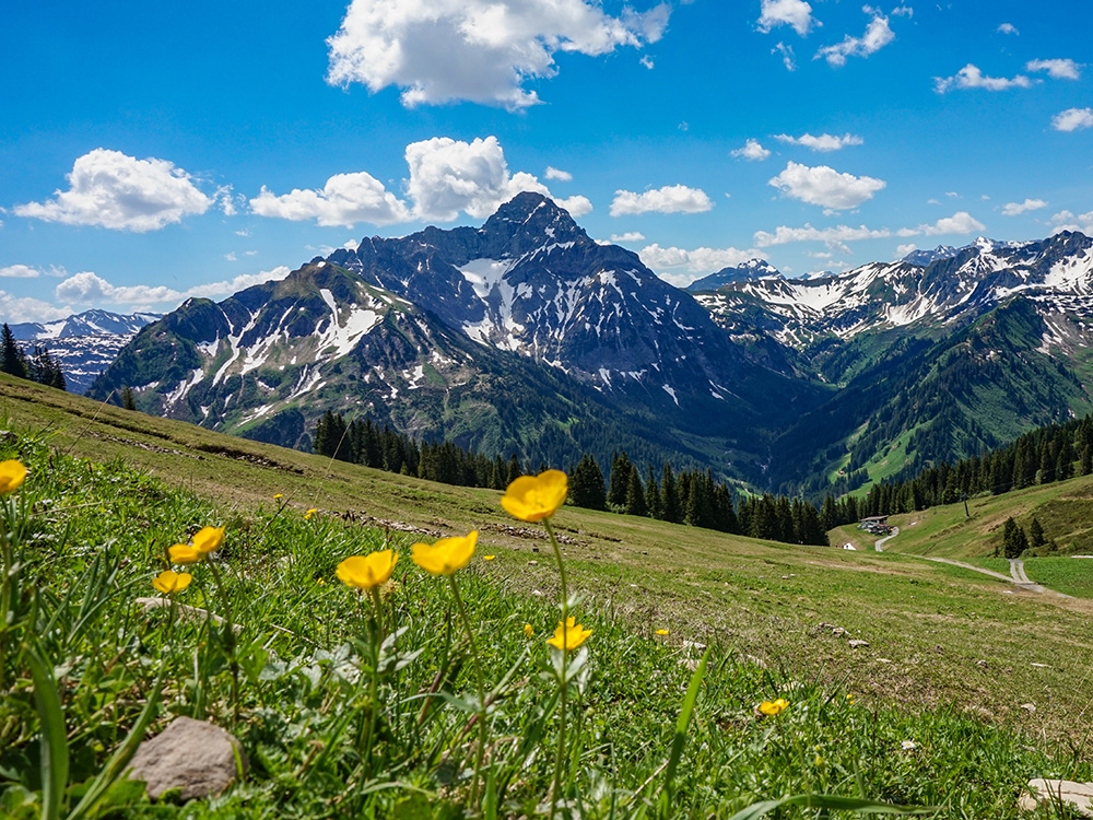 Frau Bergschön Walmedinger Horn Bergwanderung Gipfelbahn Bergbahn