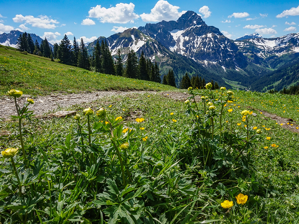 Frau Bergschön Walmedinger Horn Bergwanderung Gipfelbahn Bergbahn