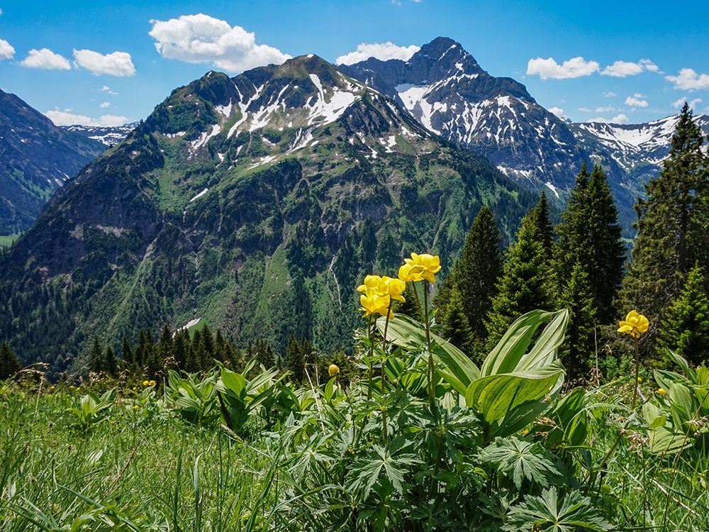 Frau Bergschön Walmedinger Horn Bergwanderung Gipfelbahn Bergbahn