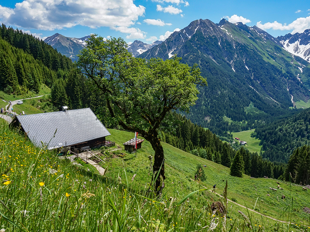 Frau Bergschön Walmedinger Horn Bergwanderung Gipfelbahn Bergbahn