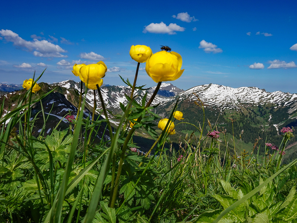 Frau Bergschön Walmedinger Horn Bergwanderung Gipfelbahn Bergbahn