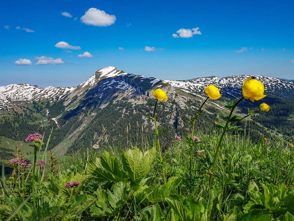 Frau Bergschön Walmedinger Horn Bergwanderung Gipfelbahn Bergbahn