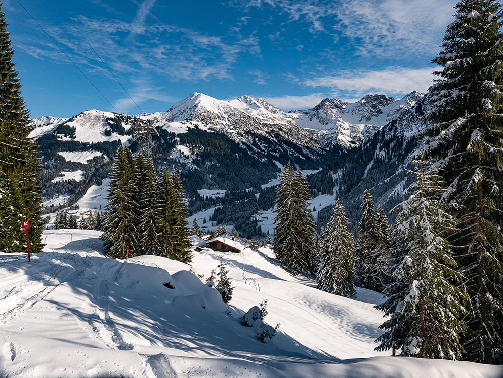 Frau Bergschön Walmendinger Horn