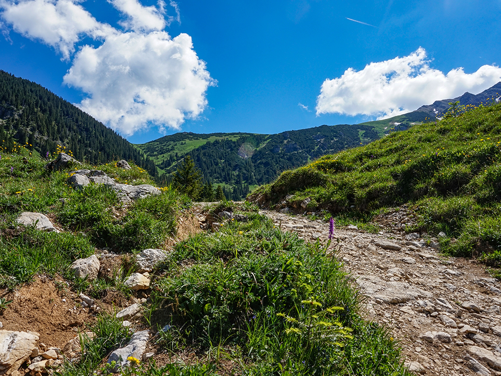 Frau Bergschön Willersalpe Oberallgäu