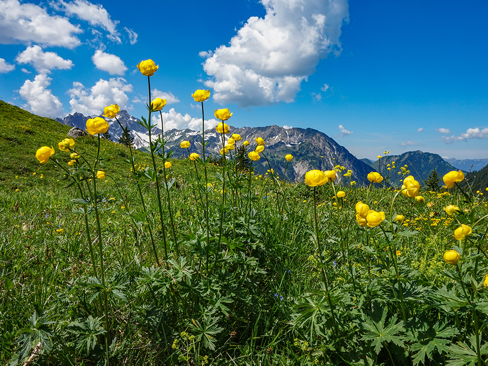 Frau Bergschön Willersalpe Oberallgäu