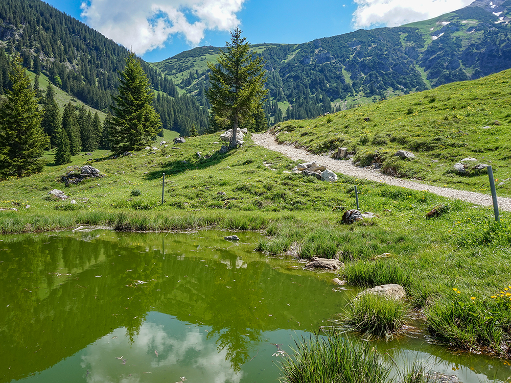 Frau Bergschön Willersalpe Oberallgäu