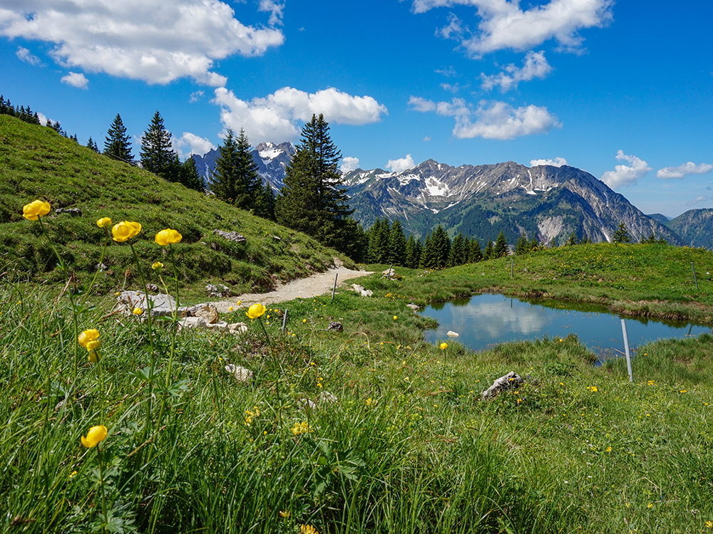 Frau Bergschön Willersalpe Oberallgäu