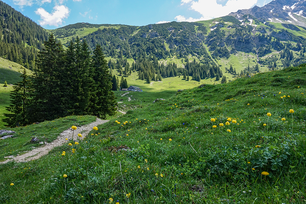 Frau Bergschön Willersalpe Oberallgäu