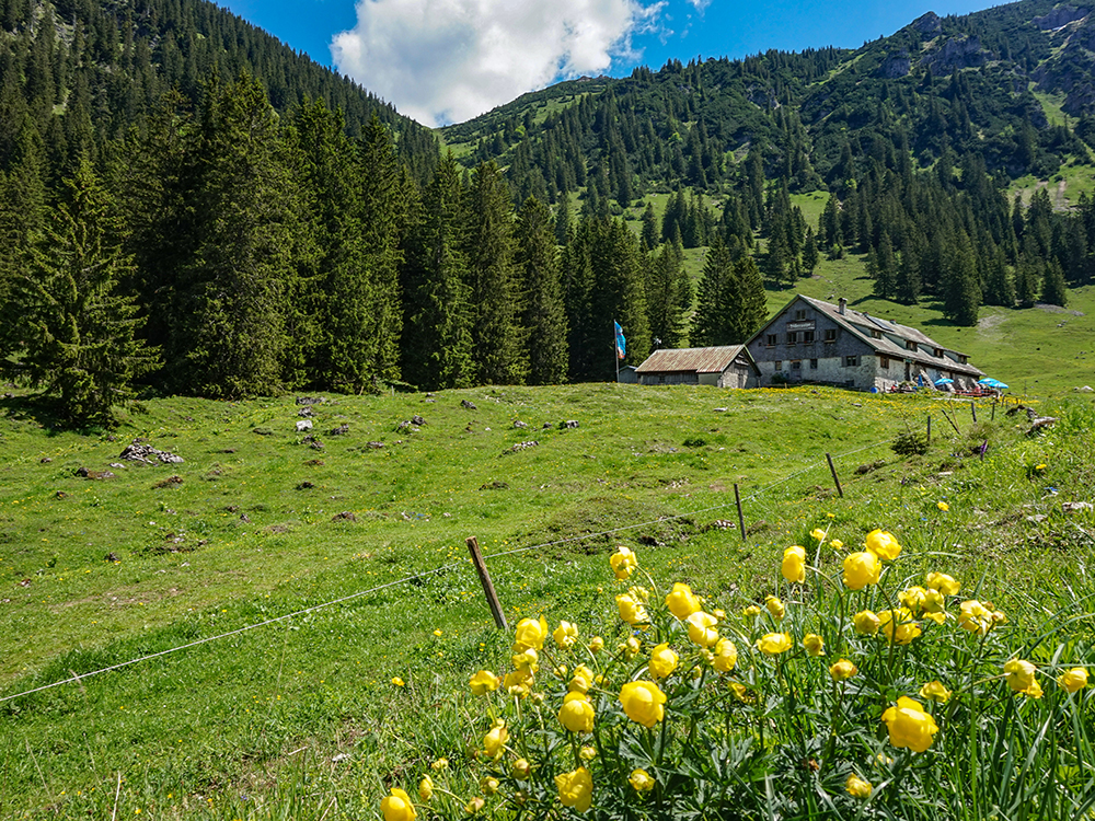 Frau Bergschön Willersalpe Oberallgäu