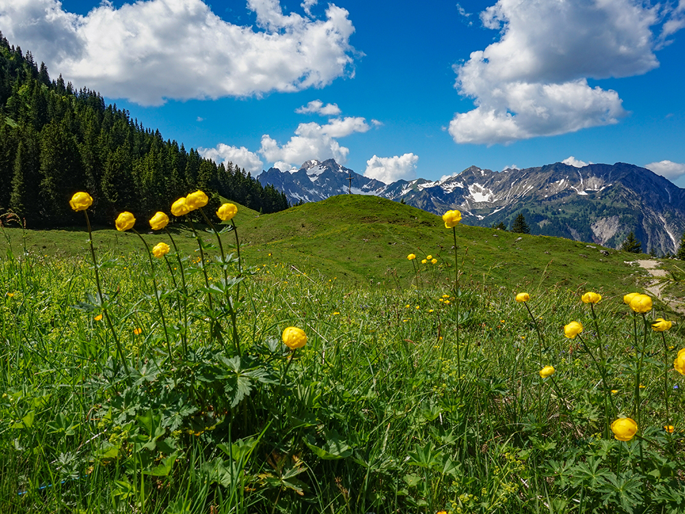 Frau Bergschön Willersalpe Oberallgäu