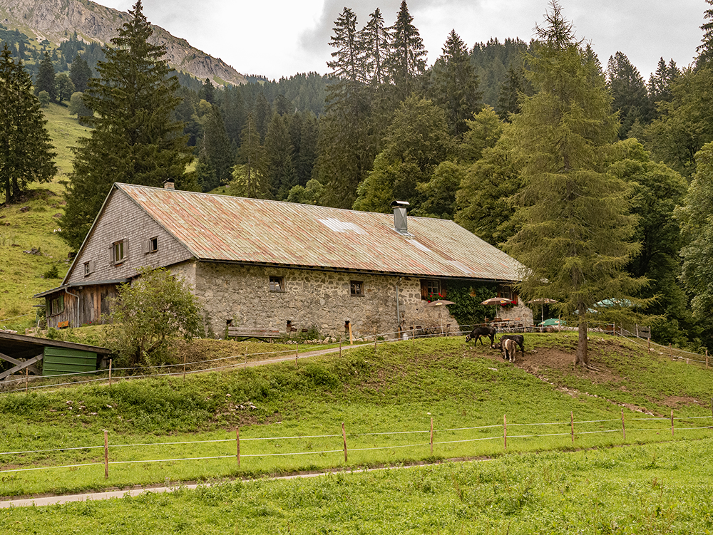 Frau Bergschoen Alpe Engeratsgund Hintersteinertal