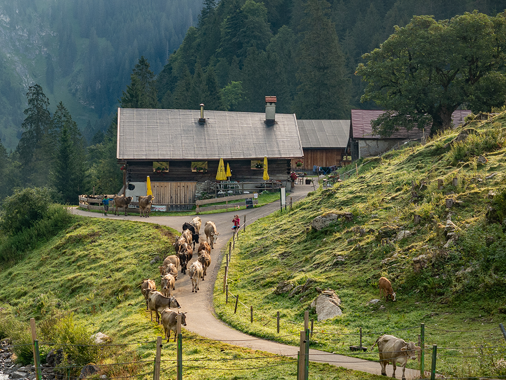 Frau Bergschoen Oytal Alpgenuss Alpe Breitengehren