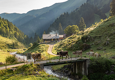 Tannheimer Tal Bergschön TV Allgäu Oberallgäu Kleinwalsertal Tannheimer Tal