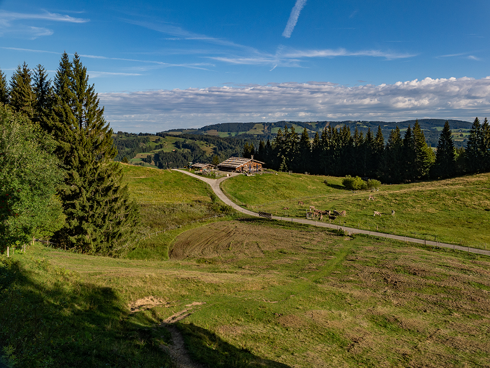 Frau Bergschoen Alpe Gschwenderberg