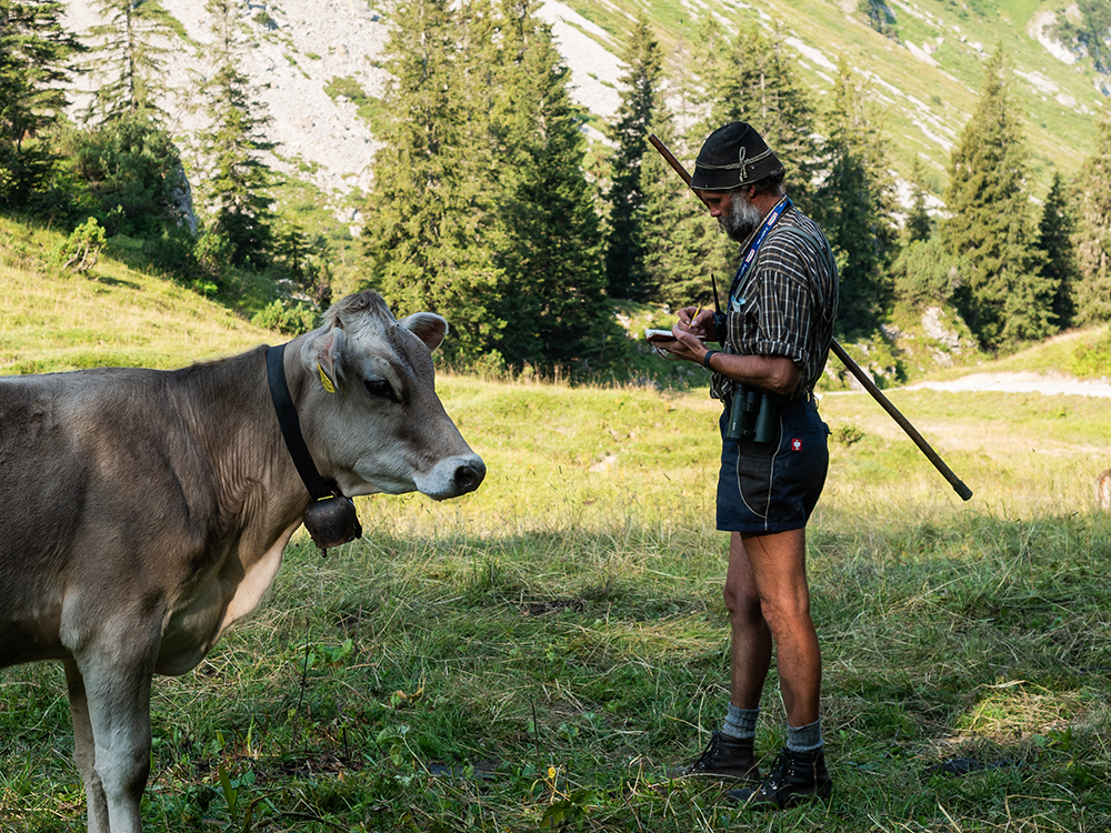 Frau Bergschoen Oytal Alpgenuss Käseralpe Gutenalpe Oberstdorf