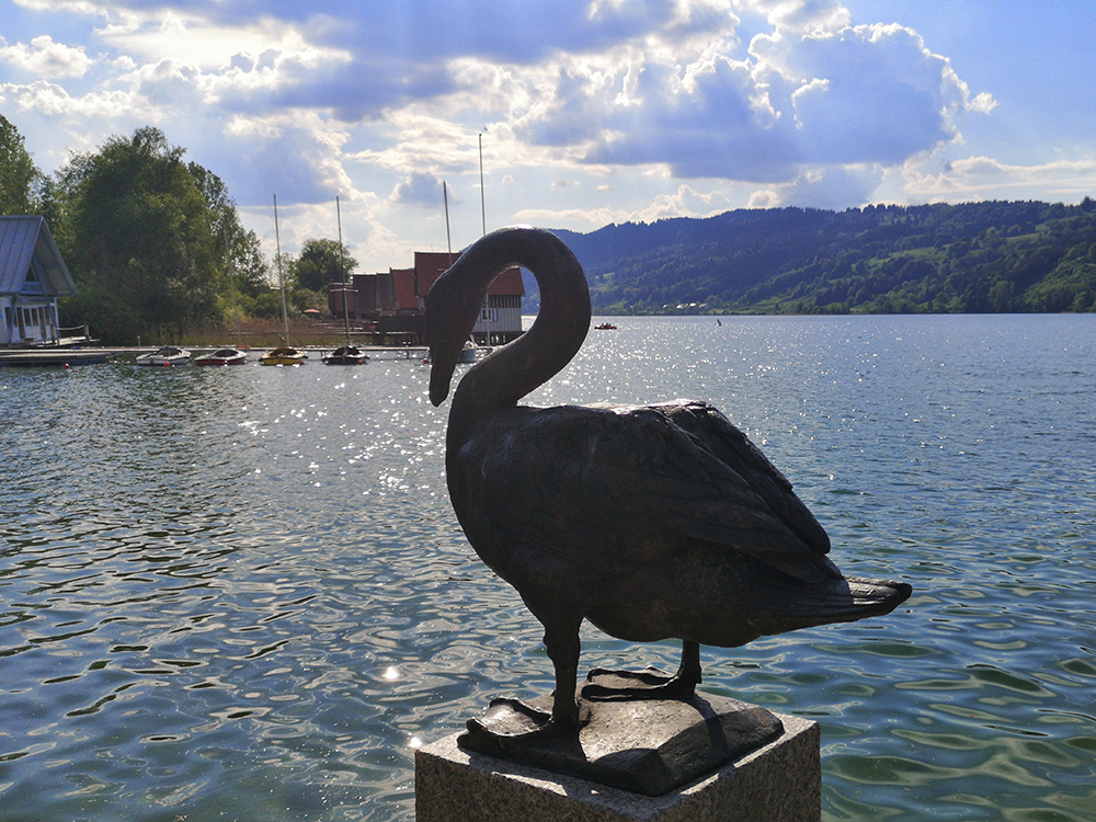 Frau Bergschoen Alpe Schoenesreuth