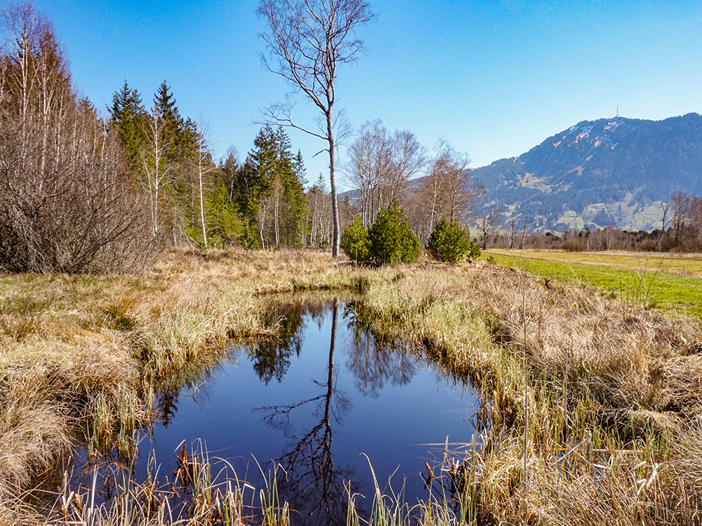 Frau Bergschön Allgäu Kleinwalsertal Tannheimer Tal