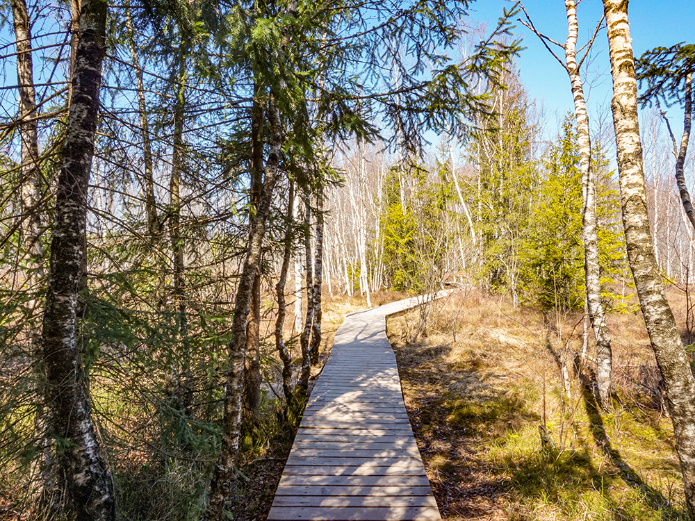 Frau Bergschön Allgäu Kleinwalsertal Tannheimer Tal