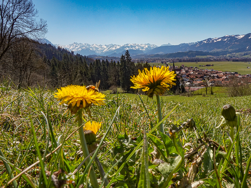 Frau Bergschön Allgäu Kleinwalsertal Tannheimer Tal