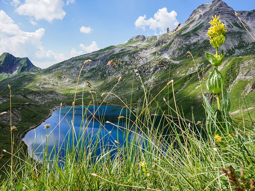 Frau Bergschoen Engeratsgundsee Hintersteinertal