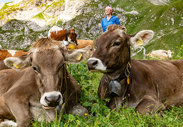 Bergschön TV Allgäu Oberallgäu Kleinwalsertal Tannheimer Tal