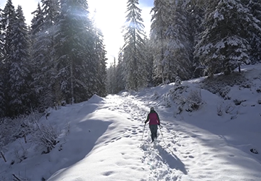 Tannheimer Tal Bergschön TV Allgäu Oberallgäu Kleinwalsertal Tannheimer Tal