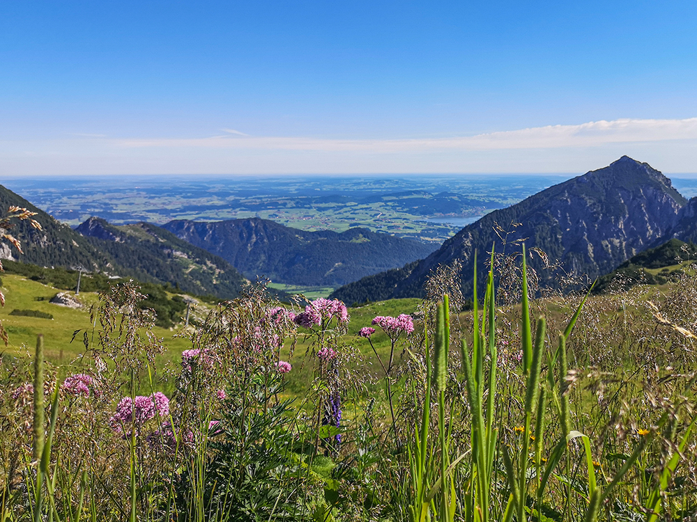 Frau Bergschoen Oytal Alpgenuss Käseralpe Gutenalpe Oberstdorf