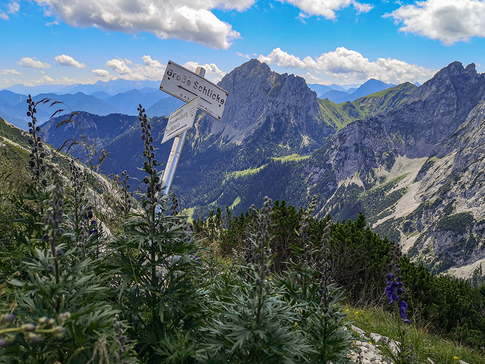 Frau Bergschoen Oytal Alpgenuss Käseralpe Gutenalpe Oberstdorf